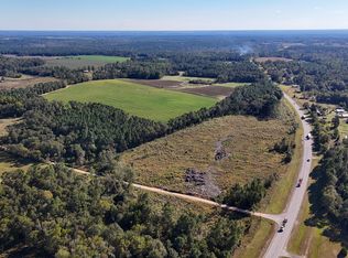 0 Highway 441, Jacksonville, GA 31544