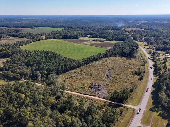 0 Highway 441, Jacksonville, GA 31544