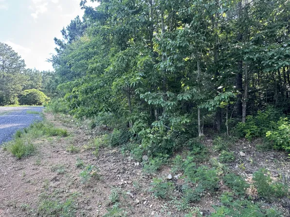 0 Rustic Pines Rd Lot 11, Dover, TN 37058