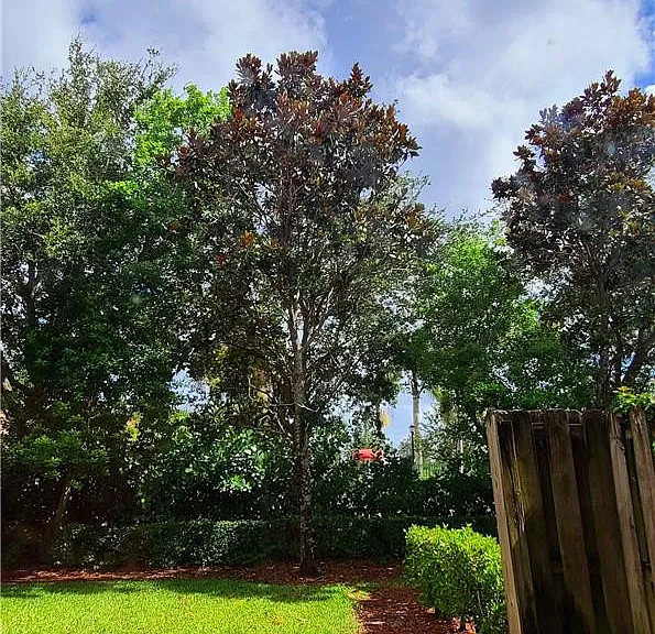 6705 Old Farm Trl #0 — Photo 47