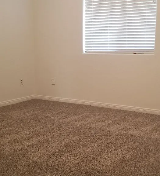 805 Sunset Meadow Ln — Photo 7