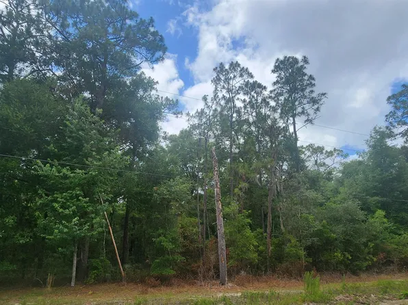 415 Pheasant Rd, Satsuma, FL 32189