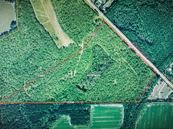 9368 George Deen Rd, West Green, GA 31567