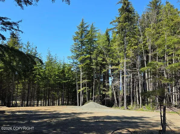 LOT 43 Martin Ave, Haines, AK 99827