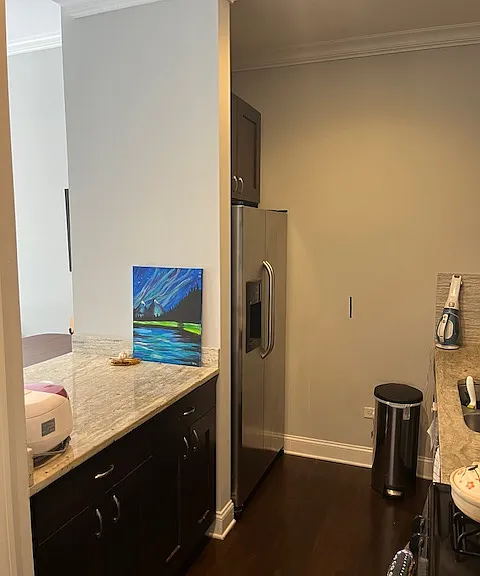 1440 S Wabash Ave #309 — Photo 10
