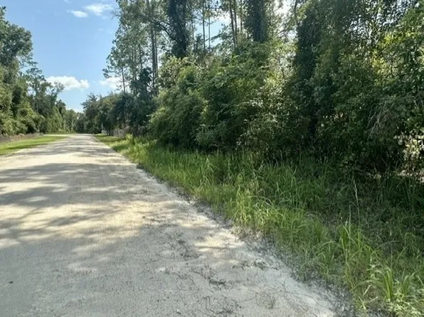 0 NE 796th St, Old Town, FL 32680