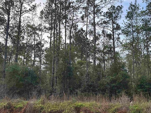 2nd image of W Houston River Rd