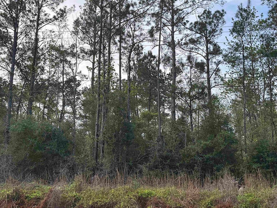 1st image of W Houston River Rd