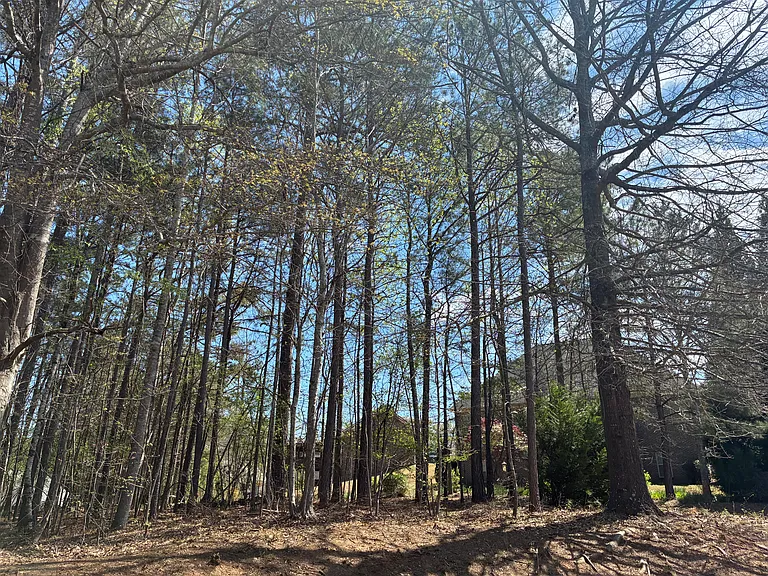 Saint Margrit Cir — Photo 4