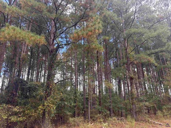 LOT 5&6 Limestone Lndg, Cochran, GA 31014