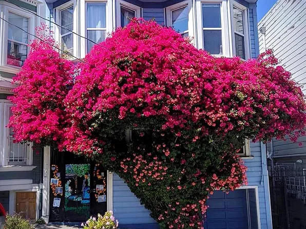 220-222 Page St #220, San Francisco, CA 94102