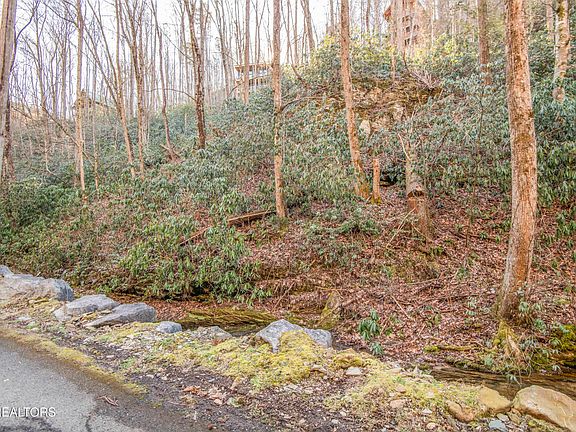 2nd image of N Clear Fork Rd Lot 4