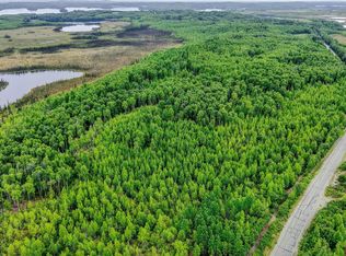 18166 W Lakes Blvd, Big Lake, AK 99623