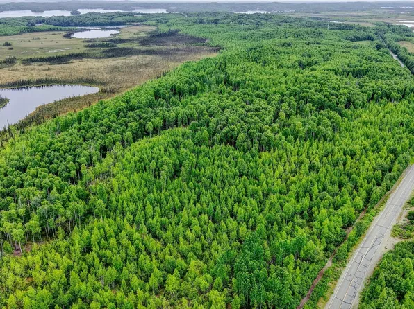 18166 W Lakes Blvd, Big Lake, AK 99623