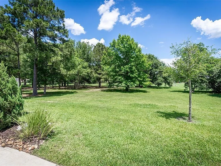 14831 Raleighs Meadow Ct — Photo 27