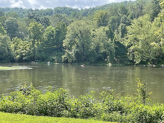 5th image of 1431 River Rd