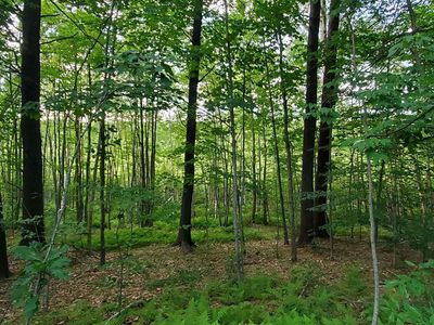 53 Tebbetts Rd, Rochester, NH, 03867