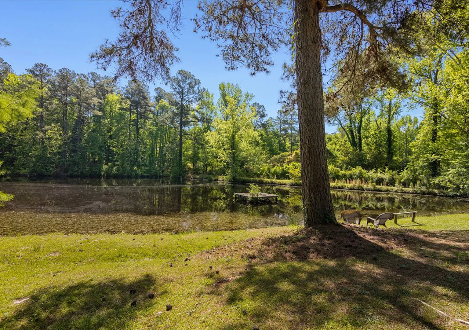Pondfront House: Kayaks, Fishing, Trails & Kids Welcome! — Photo 3