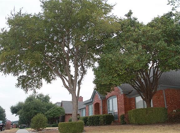 2nd image of 1711 Whitney Dr