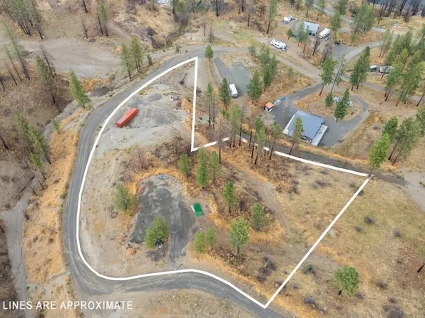 42401 Johns View Pl, Davenport, WA 99122