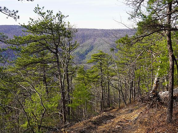 3rd image of N Ridge Ln