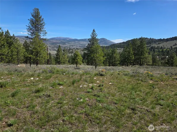 144 Reevas Basin Road, Tonasket, WA 98855
