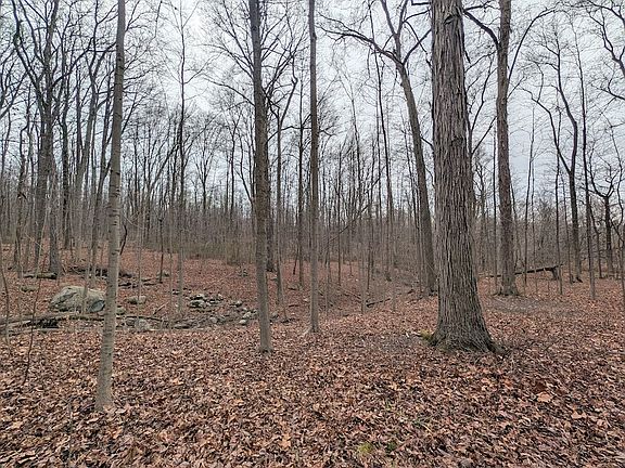 4th image of Thwing Rd Lot Wp001