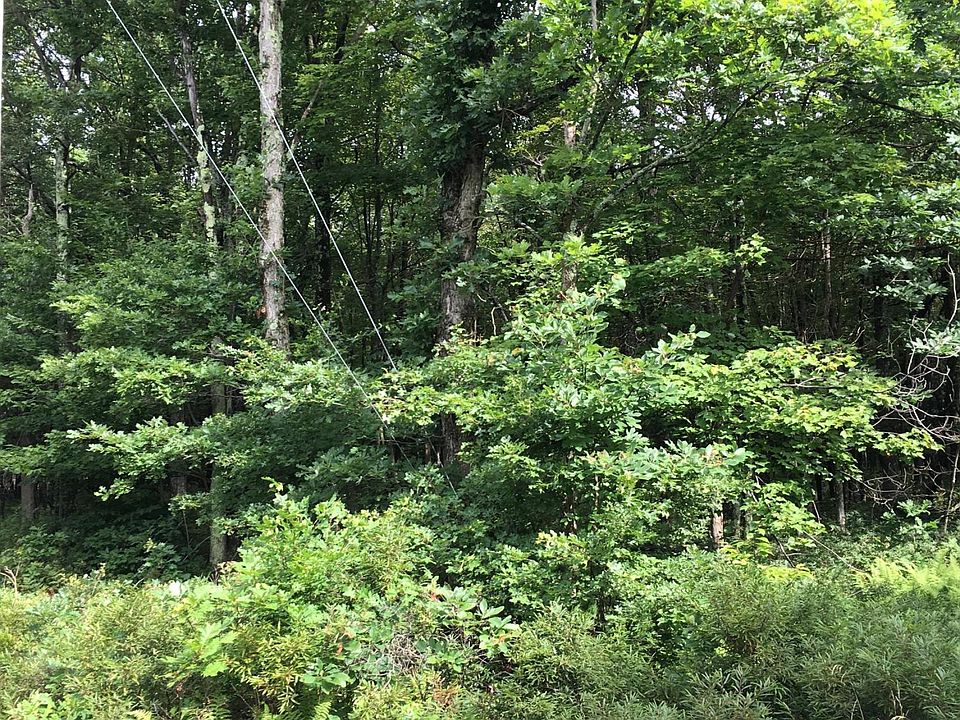 2nd image of 36 Deep Lake Rd