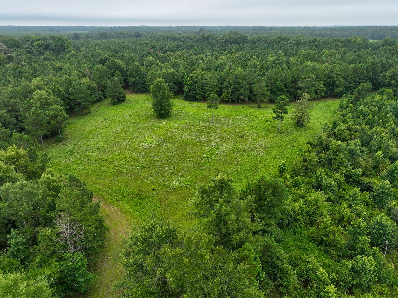 0 Whitfield Rd, Elko, GA 31025 Zillow