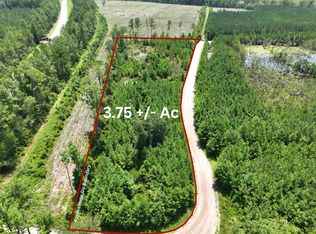 0 Chaney Rd, White Oak, GA 31568