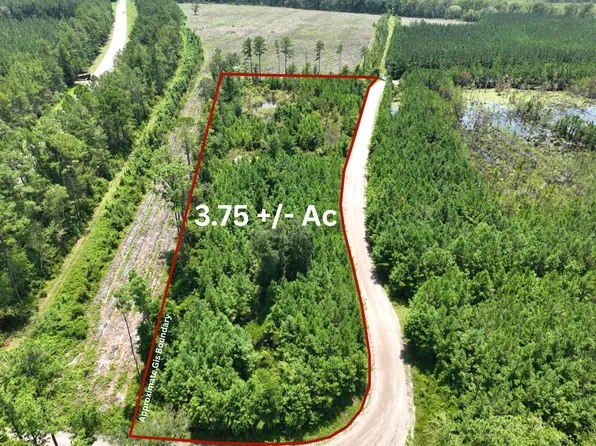 0 Chaney Rd, White Oak, GA 31568
