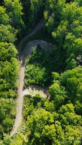 1182 Tunnel Mountain Rd, Sylva, NC, 28779
