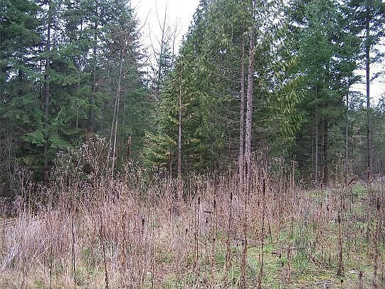 Lot is cleared &ready to build
