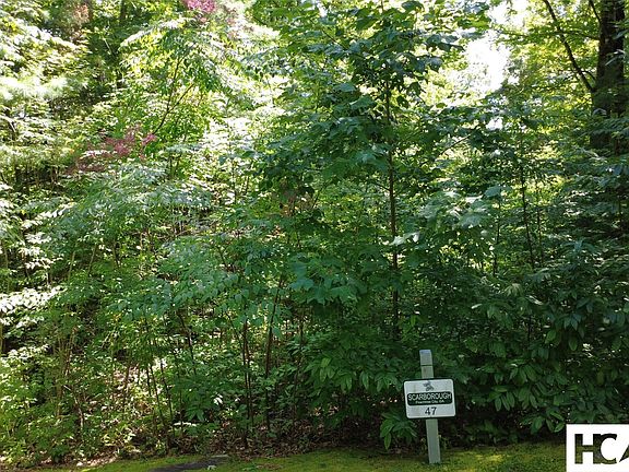 3rd image of 47 Waddle Branch Road