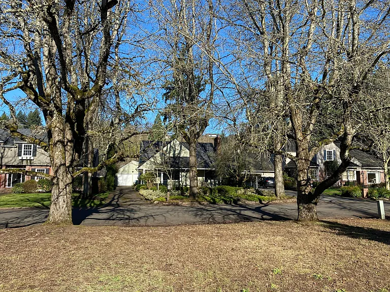 Front yard / huge trees! (View from the inside of the house)