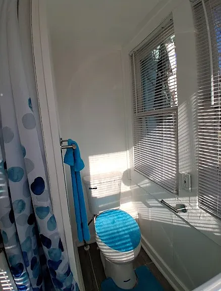 11 Riberia St #2 — Photo 31
