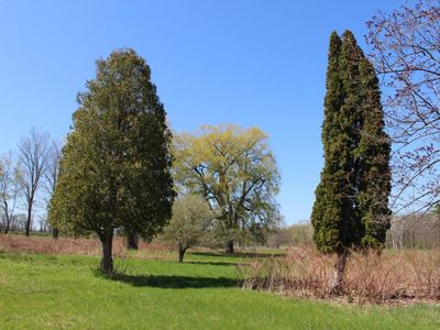 7256 Iradell Rd, Trumansburg, NY, 14886