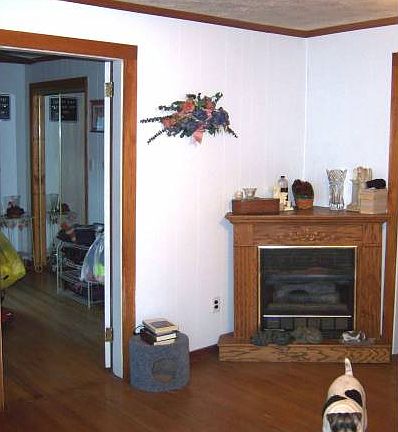 living room w/gas fp