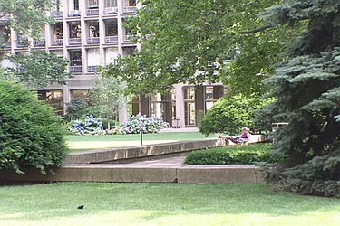 Rented by Steven Corcoran Real Estate