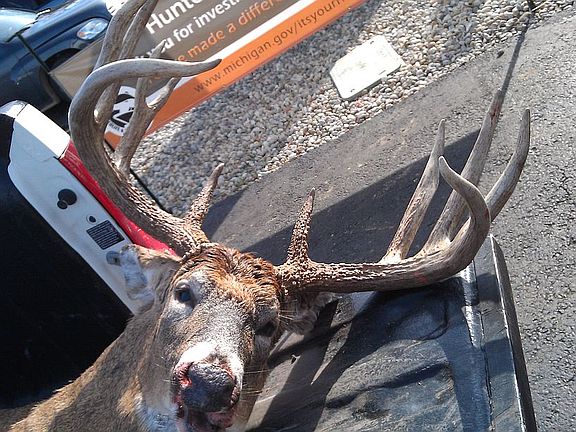 The biggest bucks in Michiga