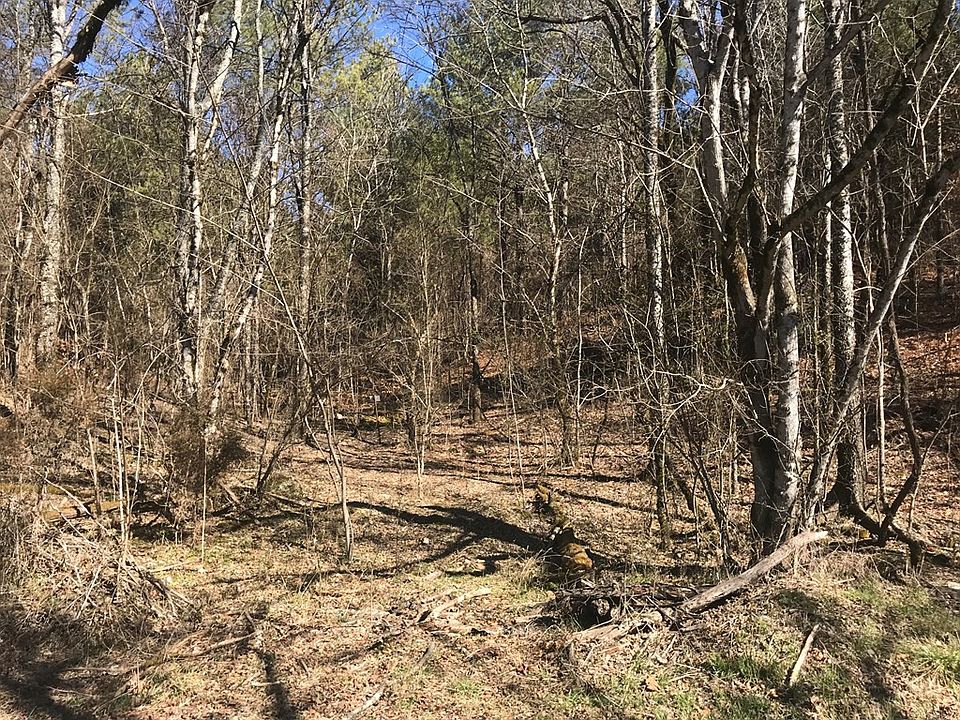 2nd image of 0 Goodfield Creek Rd