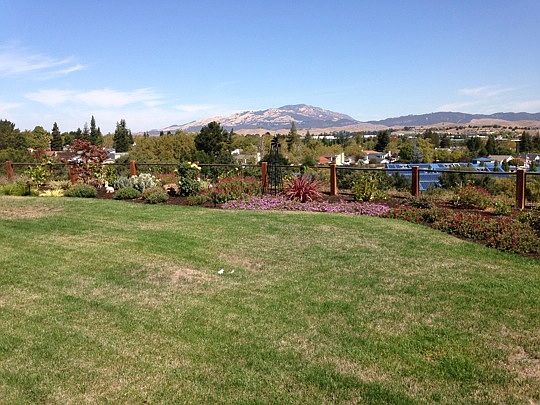 Spectacular Mt. Diablo View, level yard!