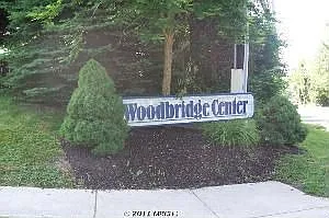 1113 Windy Branch Way photo 1