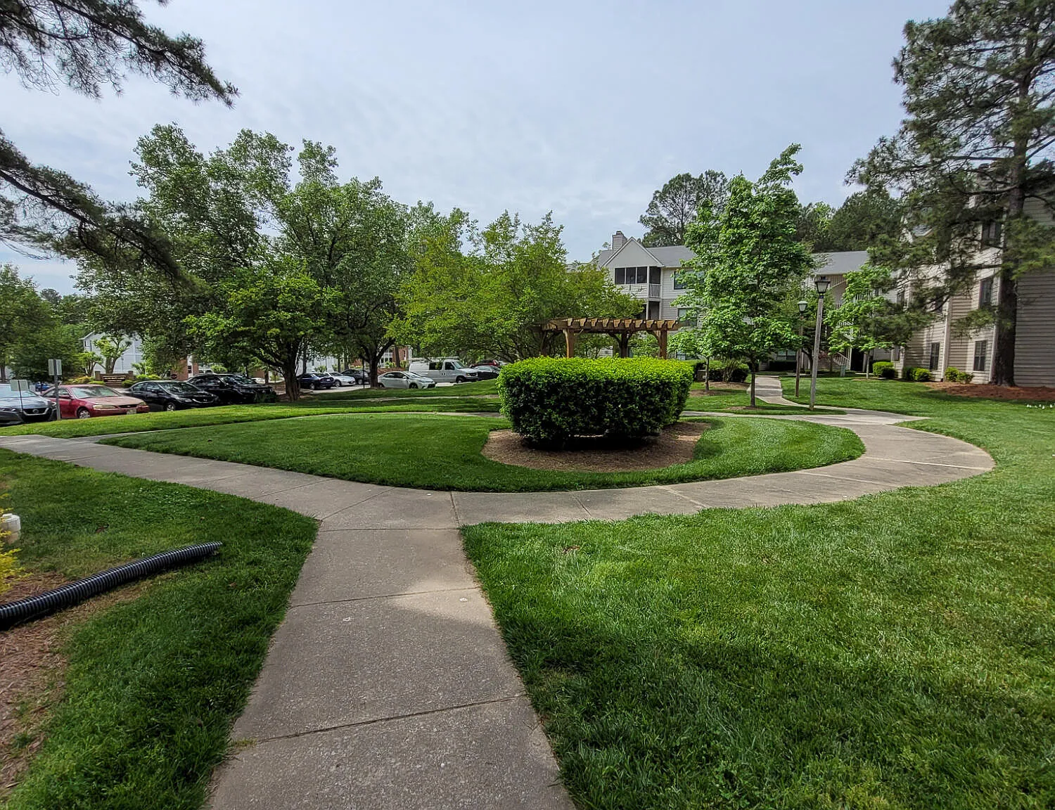 1 bed, 1.0 bath, $1,195 — Photo 3