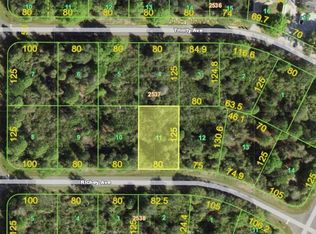 12522 Richey Ave, Port Charlotte, FL 33953