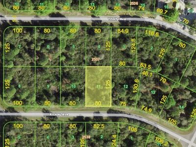 12522 Richey Ave, Port Charlotte, FL, 33953