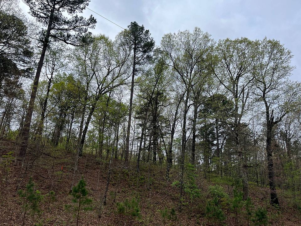1st image of 0 E 445th Rd