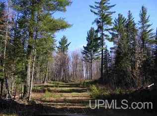 240 Acres Off Schultz Rd #46.11433-87.68188, Ralph, MI 49877