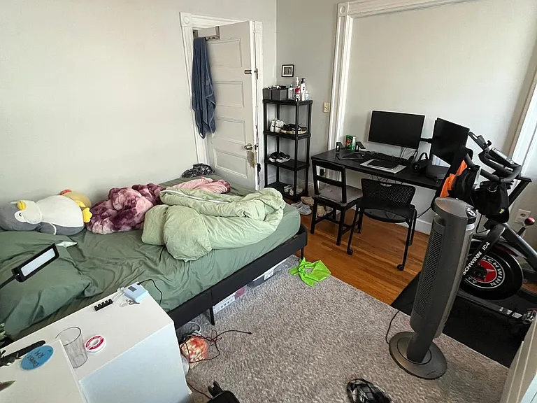 174 Alphonsus #3B — Photo 9