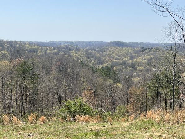 Bigley Ridge Rd, Long Bottom, OH 45743